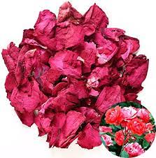 We did not find results for: Tooget Naturel Petales De Roses Rouges Sechees Fleurs Sechees En Gros Ideal Pour La Decoration De Fetes De Mariage Bain Nettoyant Pour Le Corps The Cuisson Au Four Pot Pourri Artisanat 60g