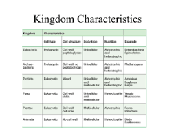 Animal Kingdom Classification Kingdom Characteristics Chart