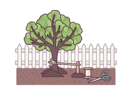 When is the best time for removing tree stakes that are supporting my. How To Stake An Apple Tree 9 Steps With Pictures Wikihow