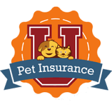 Pet Insurance Ison Insurancepet E Plans For Dogs In Canada