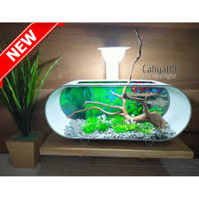 Searches related harga aquarium murah : Harga Aquarium Bulat Terbaik Peliharaan Perawatan Hewan Hobi Koleksi Juni 2021 Shopee Indonesia