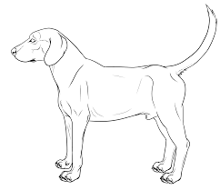 Line art whiskers drawing dog png clipart animals anime anime. Drawing Line Drawing Dog