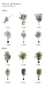 Lots off books that you can change. Olive Trees Are The New Fiddle Leaf Fig Chris Loves Julia
