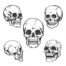 Hand Drawn Skulls Skulls Drawing Skull Sketch How To Draw Hands