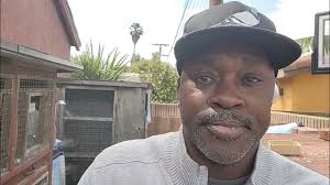 Select, Breed, Fly. Birmingham Rollers Pigeons By: Keith London