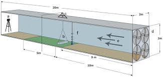 Image result for Zygophyllum leucocladum