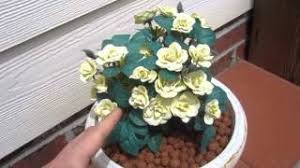 Awesome hobby lobby artificial plants plant directory hobby lobby has trendy faux plants that look real!. Outdoor Plastic Plants Unboxing Review Artificial Fake Flowers Exterior From Hobby Lobby Youtube