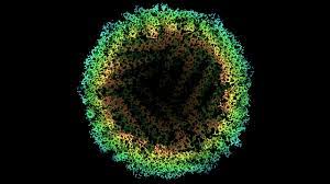 The human body under the microscope features a scanning electron micrograph of the bumpy surface of one of these stones, its many crystals. Cryo Electron Microscopy Breaks The Atomic Resolution Barrier At Last Science Aaas