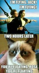 Grumpy Cat Vs Titanic Funny Grumpy Cat Memes Funny Cat Memes Grumpy Cat Quotes