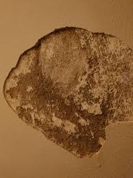 Image result for site:byggahus.se släpper