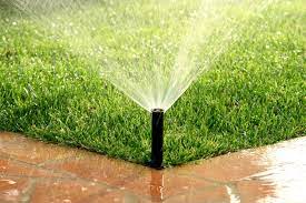 Review of the best lawn sprinkler in 2021. Make Your Yard Eco Friendly Estate Landscape