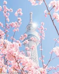 Gambar 3 dimensi mulai trend skitar awal tahun 2014. Nish Nish2005 Profile Pinterest