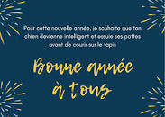 Résultat de recherche d'images pour "voeux 2023 humour voeux avec tréma"