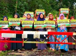 Kumpulan contoh surat permohonan tebang pokok yang benar 2019. Serahkan Projek Tebang Semula Pokok Getah Kepada Koperasi