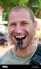 Fried tarantula hi-res stock photography and images