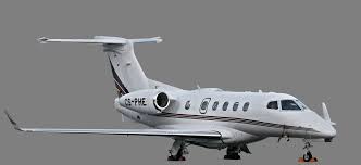 Does Flying Hurt A Dog S Ears Travel With Your Dogs