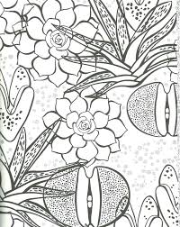 Succulents have to be one of my favorite subjects. Coloring Page Cactus Coloring Sheet