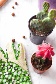 You can even do a small area at a time. Spray Paint Ombre Planters