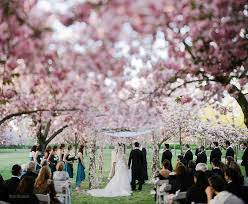 Pin By Jillian Cassandra On Dream Wedding Nyc Wedding Photographer Garden Wedding Nyc Wedding