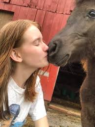 Sunshine Mini Therapy Horse