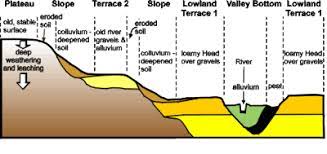 The formation of soil is primarily the result of. Soil Formation