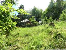 Hier finden sie häuser vieler immobilienportale und durch die einfache & schnelle häusersuche mit intuitiven filtermöglichkeiten ist das ziel traumhaus zum greifen nah. Wochenendhaus Kaufen Adenau