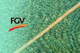Bill of lading records in 2012 and 2014. Fgv And Msm Expedite Development Of Rm100m Agro Food Valley In Perlis The Edge Markets