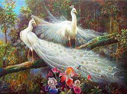 White Peacock 5d Diy Diamond Painting Kit Full Square Round Etsy Peacock Painting Cross Paintings Peacock Pictures