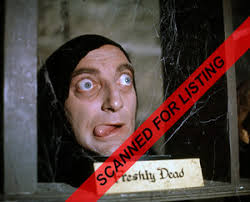 Young Frankenstein Igor