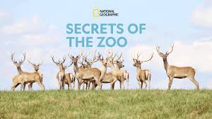 He spends each day to. Nonton All Seasons Of Secrets Of The Zoo On Disney Hotstar