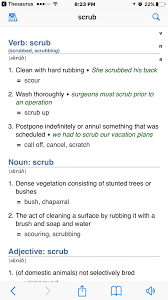Pin By Jocelynliu On Thesaurus Thesaurus O 8 She Him