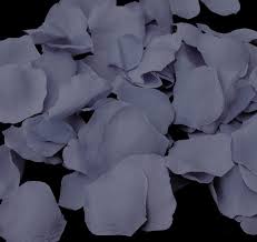 Velvety soft dusty miller in a bouquet represents happiness and delicacy. Dusty Blue Wholesale Silk Rose Petals