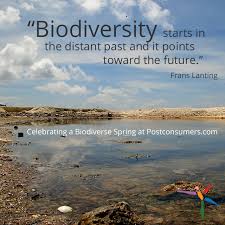 Favorite Biodiversity Quotes The Past And The Future Biodiversity Quotes Past