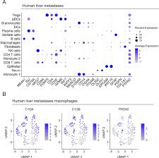 A number of other markers may be elevated in pancreatic cancer, but none are specific or sensitive enough to provide. Pancreatic Cancer Is Marked By Complement High Blood Monocytes And Tumor Associated Macrophages Life Science Alliance