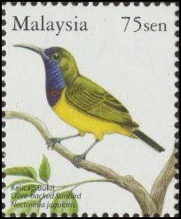 We did not find results for: Burung Kelicap Bukit Wikipedia Bahasa Melayu Ensiklopedia Bebas