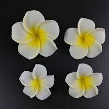We carry mats made from many different types of flowers in different colors so our customers can create fantastic floral displays. 50pcs Big 6cm Plumeria Hawaiian Foam Frangipani Flower Artificial Silk Fake Diy Flower For Wedding Party Decoration Orange Color Flowers Artificial Flowers Forflower For Wedding Aliexpress