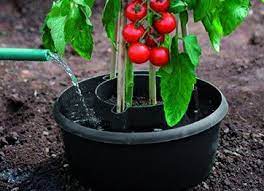 hazenberg tuinkassen accessoires bevloeiing watergeefsystemen moestuin tuinkas tuin