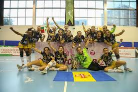Não falhe um golo, uma transferência ou uma notícia com a nossa aplicação gratuita para smartphone! Andebol Feminino Madeira Sad Bate Alpendorada E Junta Taca De Portugal Ao Campeonato Andebol Sapo Desporto