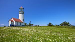 An intimate cabin in the woods on a secluded property about seven miles from the oregon dunes national recreation area. Oregon Coast Us Vacation Rentals House Rentals More Vrbo