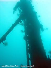 Check spelling or type a new query. Wrack Peltastis Wrack Der Peltastis Krk Foto 168049 Auf Taucher Net