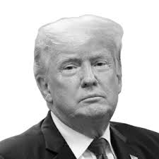 Texas general election results: President, Senate, House and more