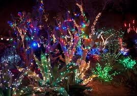 More than 76 ethel m botanical cactus garden at pleasant prices up to 28 usd fast and free worldwide shipping! List Las Vegas Valley Holiday Events And Light Shows For 2020 Klas