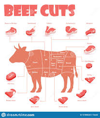 Vector Beef Cuts Chart Stock Vector Illustration Of Color