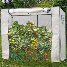 Equipement Potager Pas Cher Gifi Serre A Tomate Poubelle De Jardin Amenagement Jardin