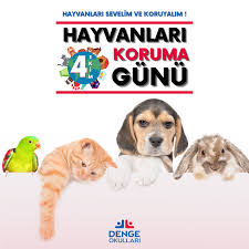 Denge Okullari Haberler Panosundaki Pin