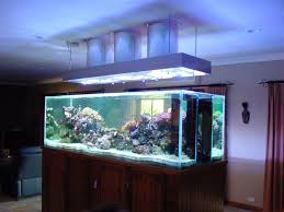 Find the latest fish tank decor ideas. 7 Fabulous Aquarium Designs Beautyharmonylife