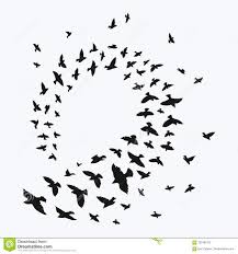 All of the flying birds on this list can reach up to at least 26 lbs, with the largest weighing over 40 lbs! Silhouette Of A Flock Of Birds Black Contours Of Flying Birds Flying Pigeons Tattoo Stock Vector Illustr Bird Silhouette Flying Pigeon Flying Bird Tattoo