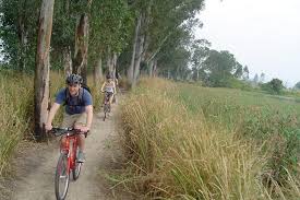 Used bicycles for sale in hong kong. Private Hong Kong Cycling Day Tour With Dim Sum 2021 Hong Kong Sar