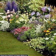 Hydrangea Landscaping Peonies Garden Hosta Gardens Cottage Garden Garden Layout Garden 50 Most Beauti Hydrangea Landscaping Hosta Gardens Cottage Garden