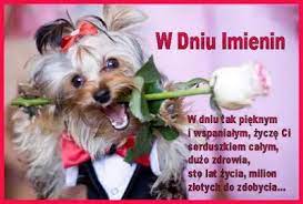 Życzenia imieninowe przydają się niemal każdego dnia. Obraz Foto I Grafika Blog Graficzny Gdynia Marzenna 79 Zyczenia Dogs Petsmart Dog Cat